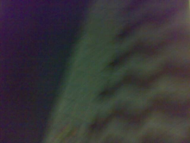 Lifeblog posted image