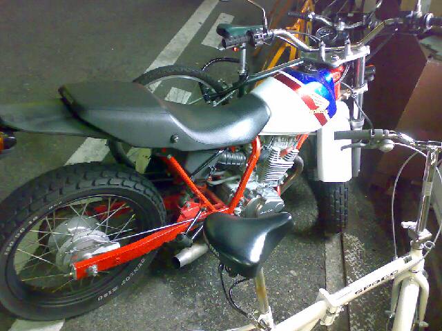 Lifeblog posted image