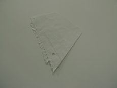 L1000378b.JPG