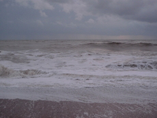 L1000696b.JPG