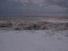 L1000698b.JPG