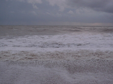 L1000699b.JPG