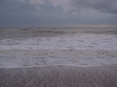 L1000700b.JPG