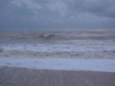 L1000701b.JPG