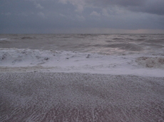L1000704b.JPG