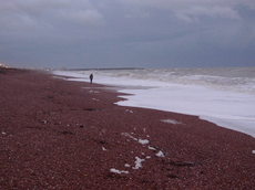 L1000706b.JPG