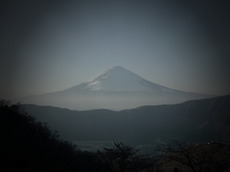 L1010097b.JPG