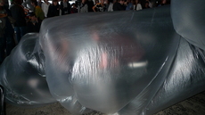 L1010762.JPG