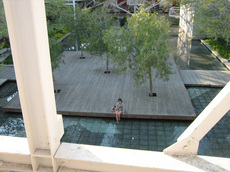 barc 06.JPG