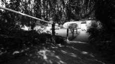 L1070349.JPG