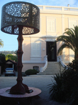 CANNE.JPG Thumbnail