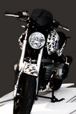 FOW_bmw_front_01.jpg Thumbnail